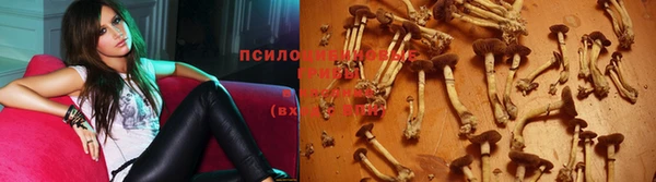 таблы Магадан