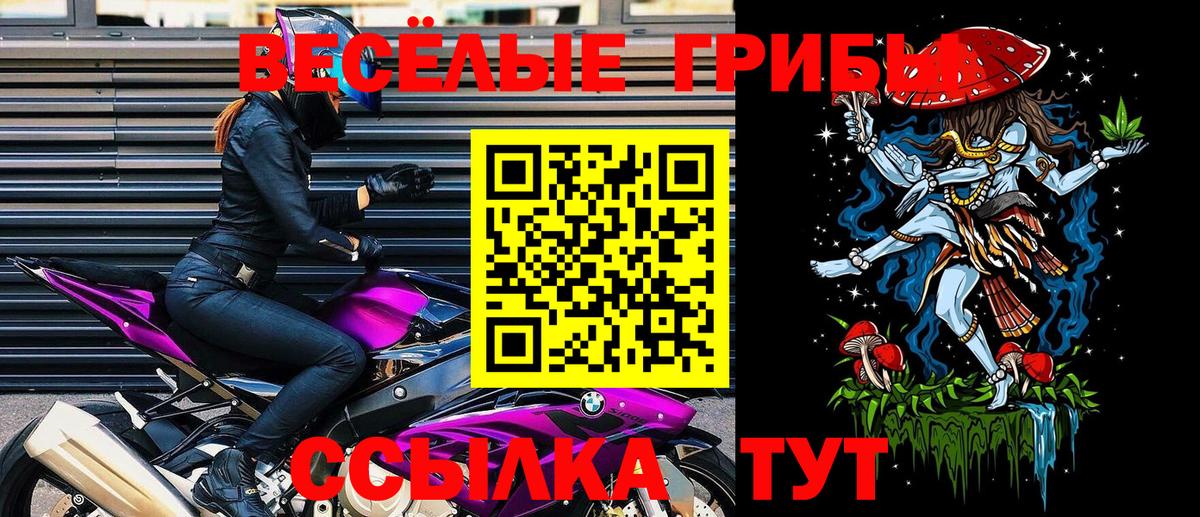 купить   Псилоцибиновые грибы MAGIC MUSHROOMS  Псилоцибиновые грибы Magic Shrooms  Вход с VPN  Шахты 